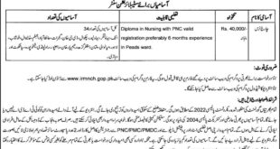 CM Chief Minister Stunting Reduction Program CMSRP Jobs